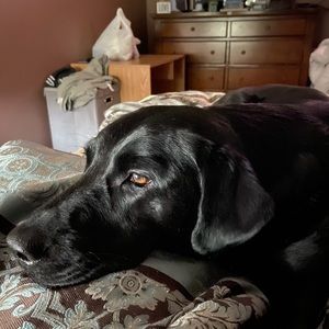 Meet your Posher, Kaylee